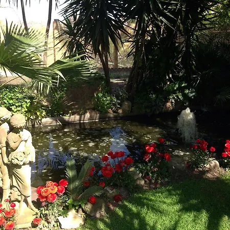 Paradise *